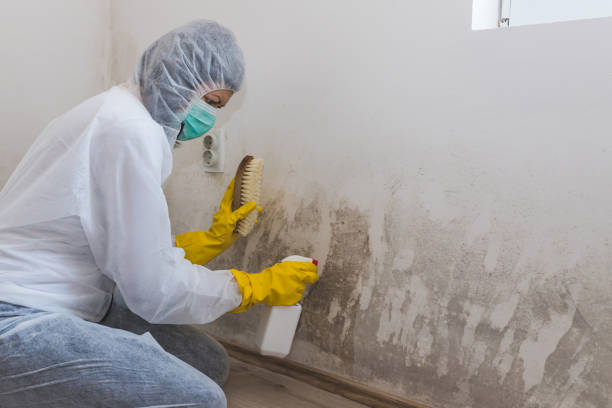 Best Industrial Mold Remediation in Lyons, NJ