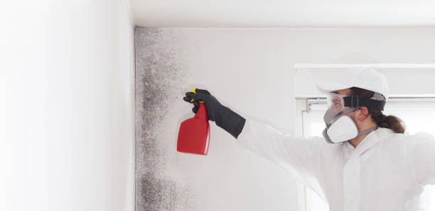 Best Residential Mold Remediation in Lyons, NJ