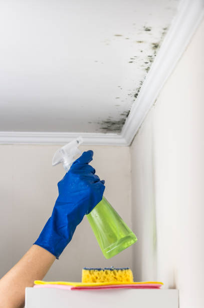 Best Mold Remediation for Schools in Lyons, NJ